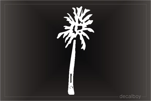 Tree Palm Window Decal