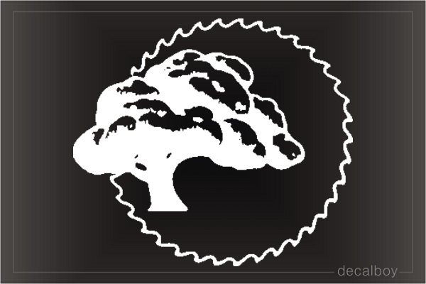 Sycamore Tree Decal