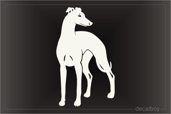 Mini Greyhound Decal