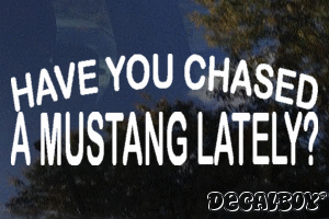 Have You Chased A Mustang Lately Vinyl Die-cut Decal