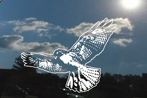 Hawk Flying Window Decal