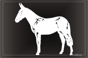 Horse Mule Decal