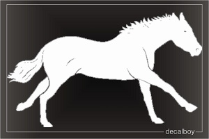 Horse Przewalski Decal