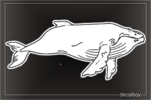 Humpback Whale Decal