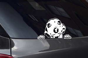 Italian Greyhound Looking Out Window Decal