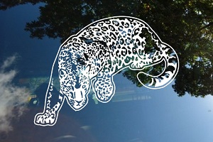 Jaguar Attacking Window Decal