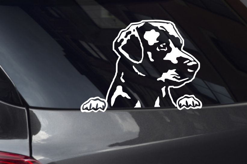 Labrador Looking Out Window Decal