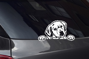 Labrador Puppy Looking Out Window Decal
