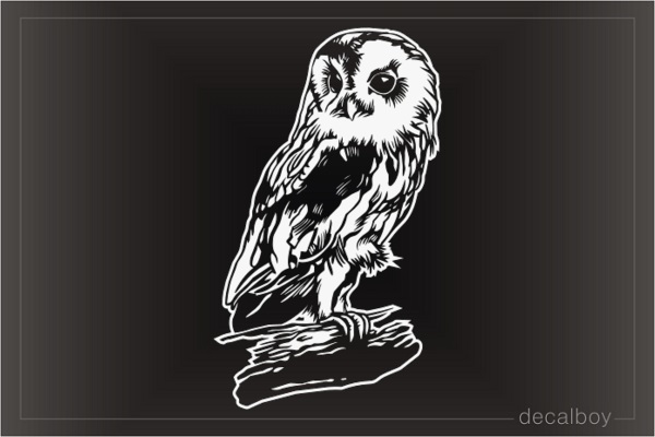 Owl 62 Window Decal