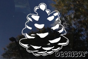 Pinecone Decal