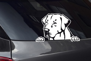 Retriever Looking Out Window Decal