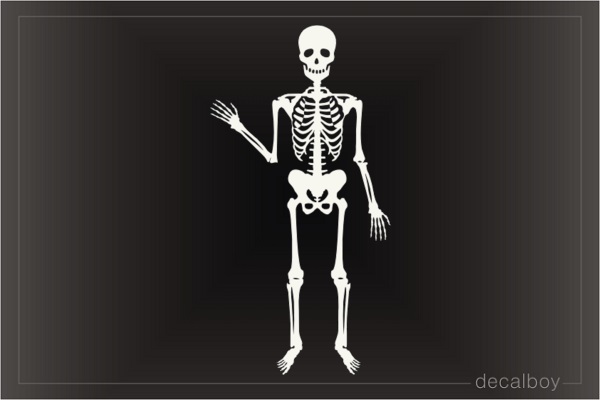 Skeleton Boy Decal