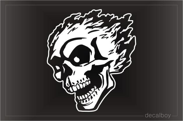 Skull With Flames Die-cut Decal