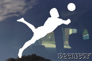 Volleyball 2 Decal
