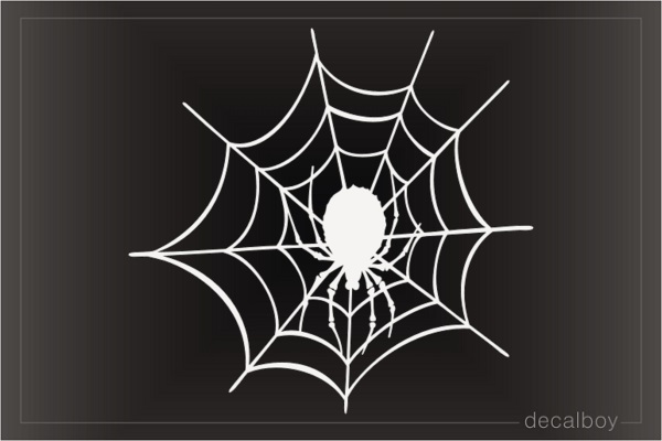 Spider Web 88 Window Decal