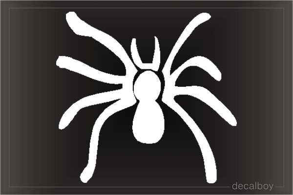 Spider Taranchula 618 Decal