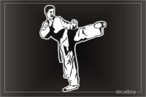 Tae Kwon Do 3 Decal