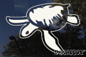 Musk Turtle Decal
