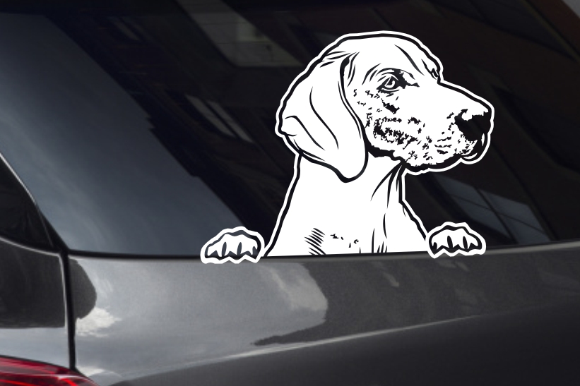 Weimaraner Looking Out Window Decal