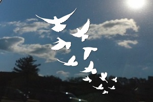 White Doves Flock Decal