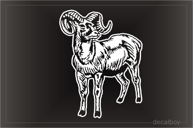 American Bighorn Sheep Decal