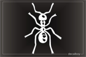 Ant Bug Decal