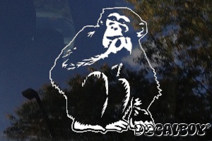 Chimpanzee Chimp Monkey Window Decal