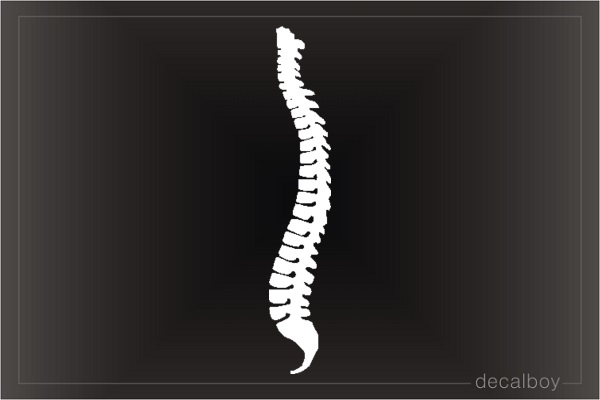 Chiropractor Decal