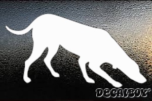 Coon Dog Coonhound Hunting Car Window Decal