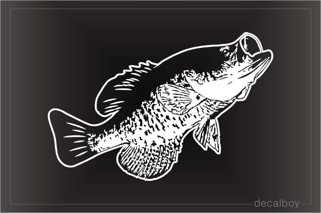 Born to fish Trout Bass Crappie Fish Car Truck Boat Window Funny Decal Sticker 