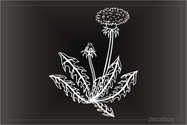 Dandelion Decal