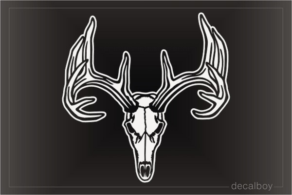 Deer Buck Skull Design Decal