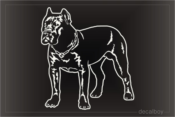 Dogo Canario Decal