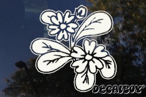 Flower 5412 Window Decal