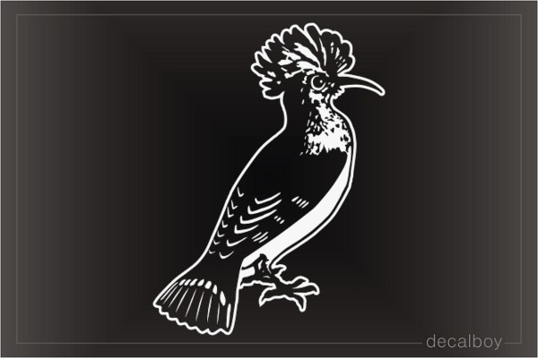 Hoopoe Bird Decal