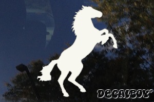 Horse Rearing Decal