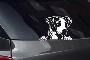 Jack Russell Looking Out Window Decal