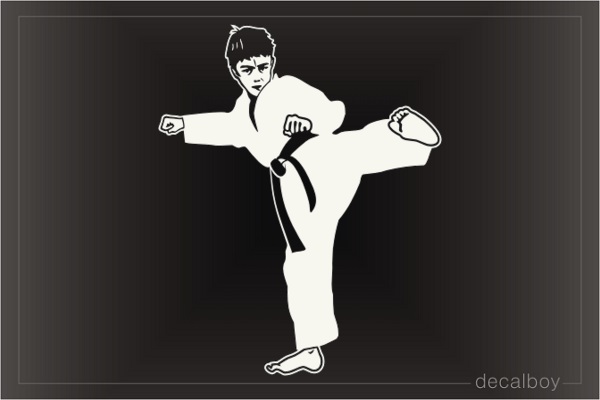 Chinese Tribal Sun decal Taekwondo kicker wall sticker Martial arts wall decal 