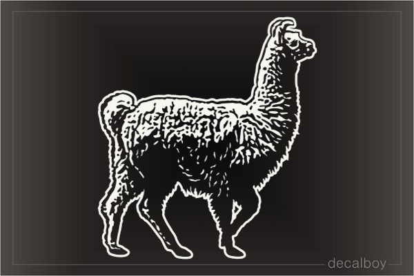 Llama American Camelid Decal