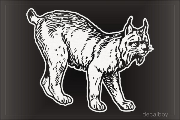 Lynx Hingtleand Decal
