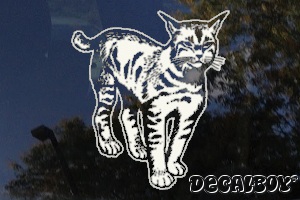 Lynx Wild Cat Window Decal
