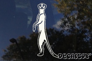 Meerkat Suricata Suricatta Decal