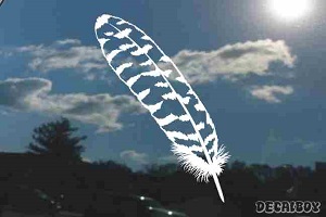 Owl Feather Decal
