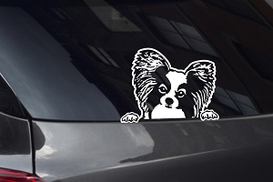 Papillon Looking Out Window Decal