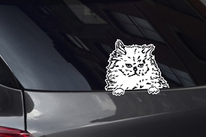 Persian Cat Looking Out Window Decal