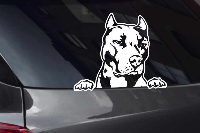Pitbull Face Looking Out Window Decal