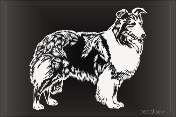 Rough Scottish English Collie Dog Decal
