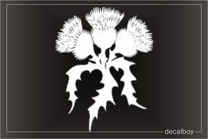 Scottish Kilt Thistle Flower Decal
