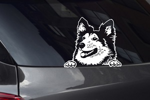 Sheltie Sheepdog Looking Out Window Decal