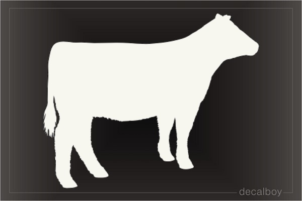 Show Cattle Heifer Decal